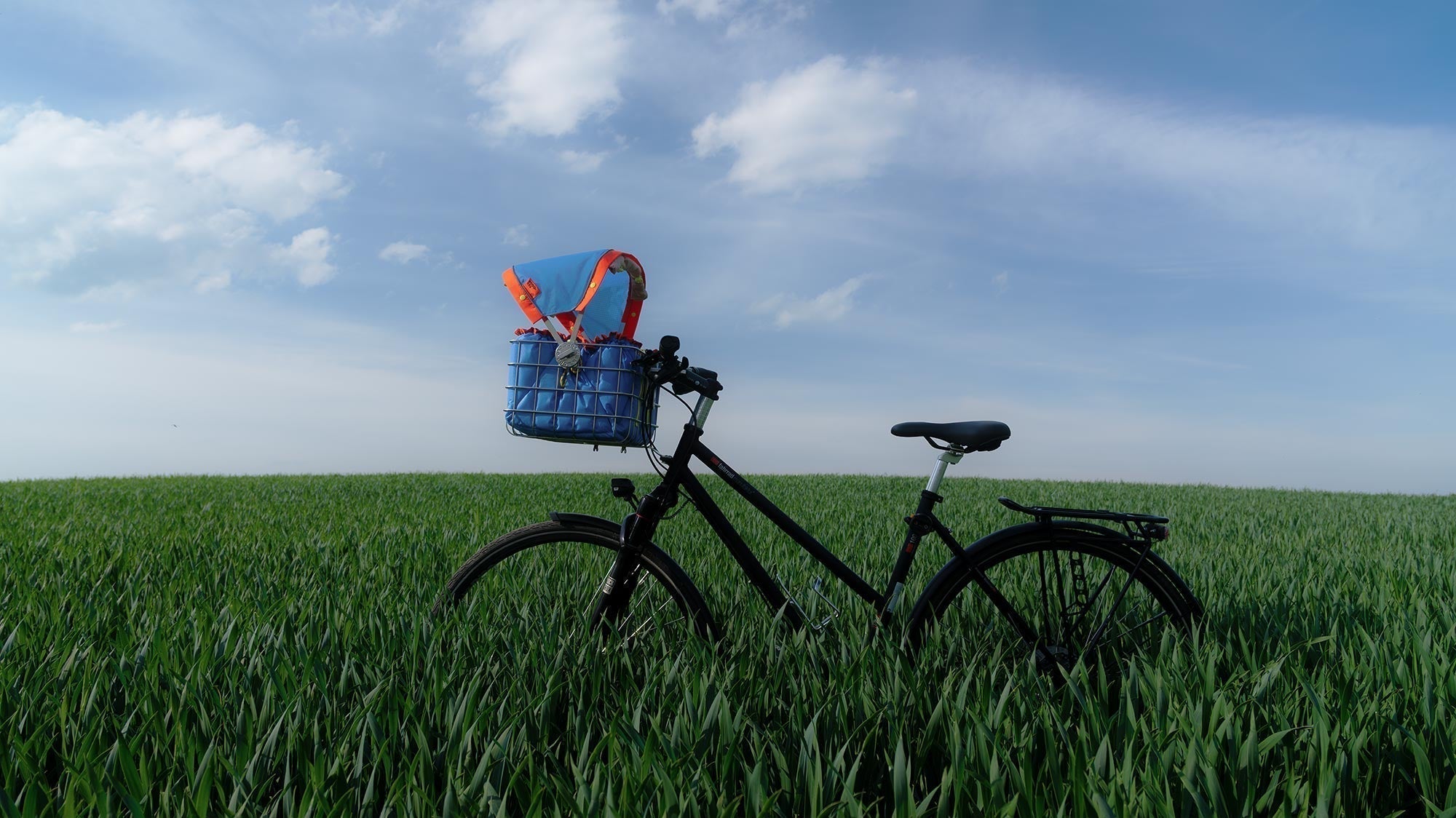 Sonnenschutz im Hundefahrradkorb: Worauf du wirklich achten solltest
