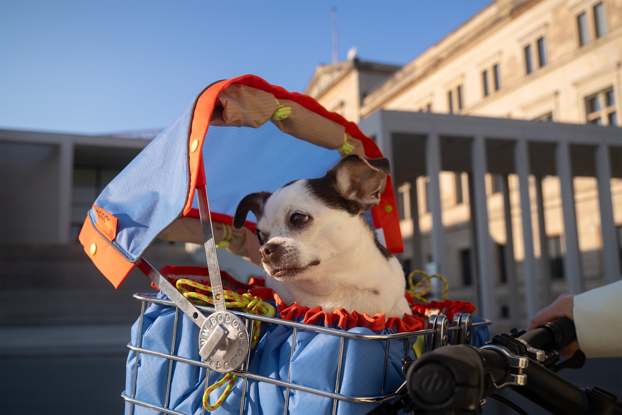 Hundefahrradorb vorne am Lenker mit kleinem Hund und Sonnendach