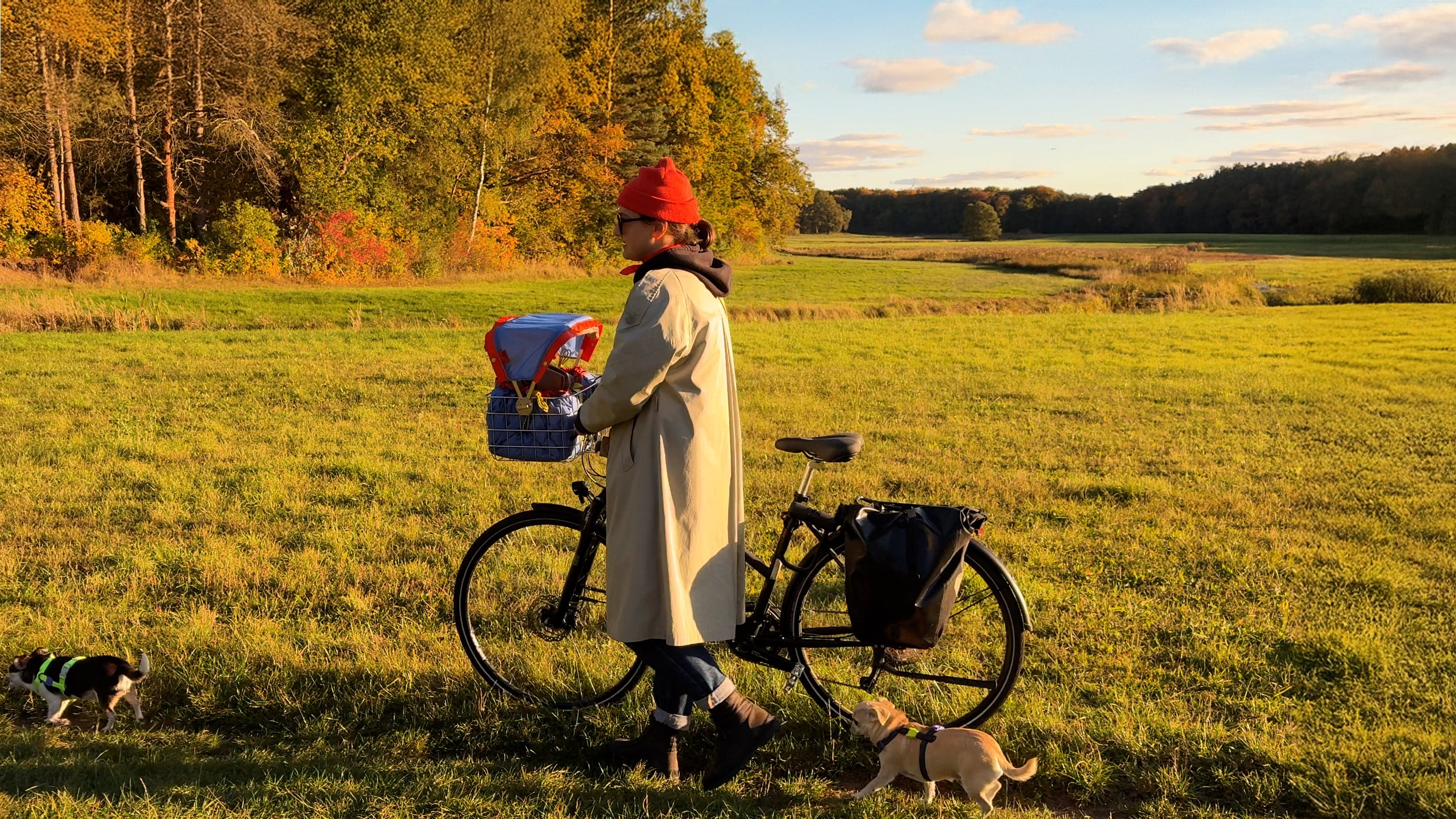 Fahrradtour mit zwei Hunden und FlyingBodo Hundefahrradkorb in der Natur