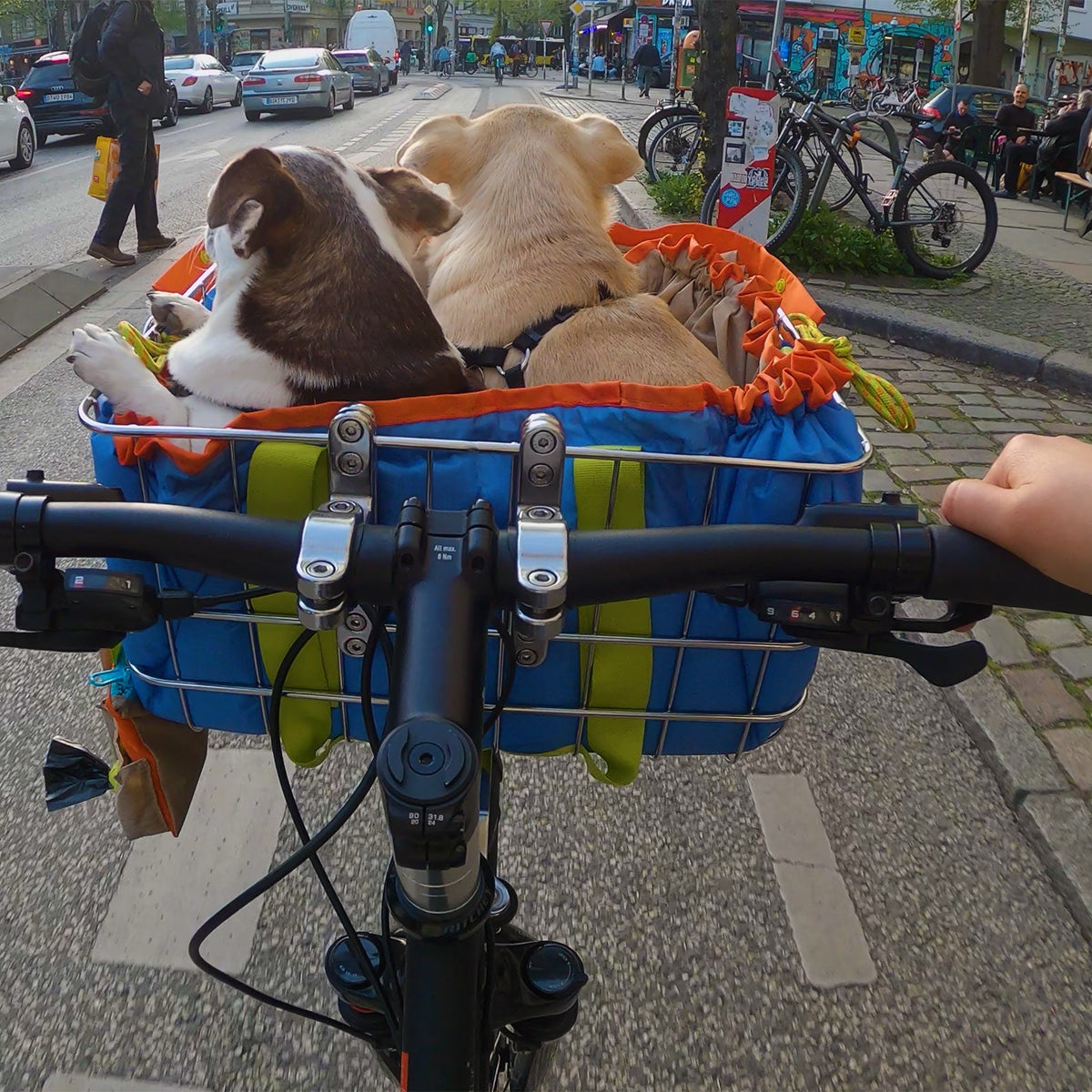 stoßdämpfer fahrradsattel Fahrrad Sattelstütze Dämpfer, Vegena Federsattelstütze Stoßabsorbierende Sattelfeder, Fahrradsättel Einstellbar, Federung Winter Anzug Size:3XL (46-48