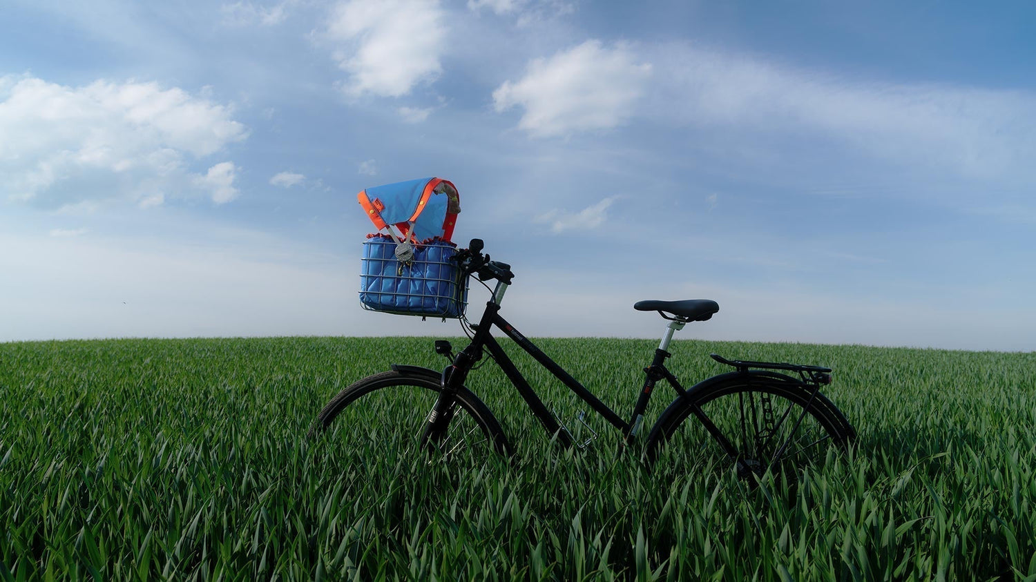 Sonnenschutz im Hundefahrradkorb: Worauf du wirklich achten solltest