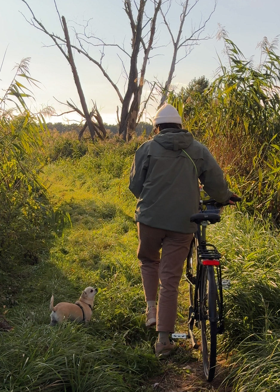 Fahrradtour mit Hund in der Natur – Fahrradtouren mit Hund Community
