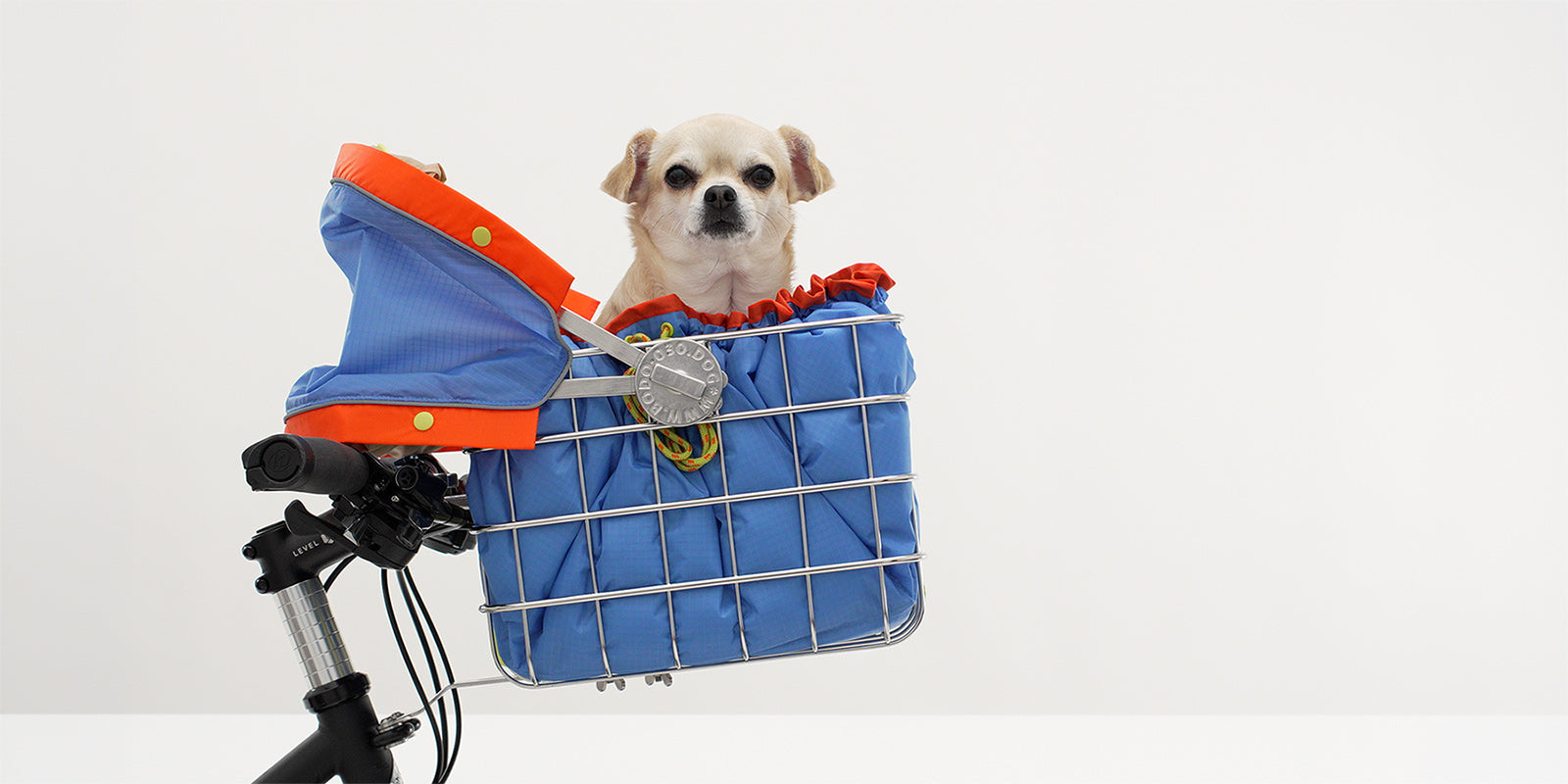 Hundefahrradorb vorne am Lenker mit kleinem Hund und Sonnendach