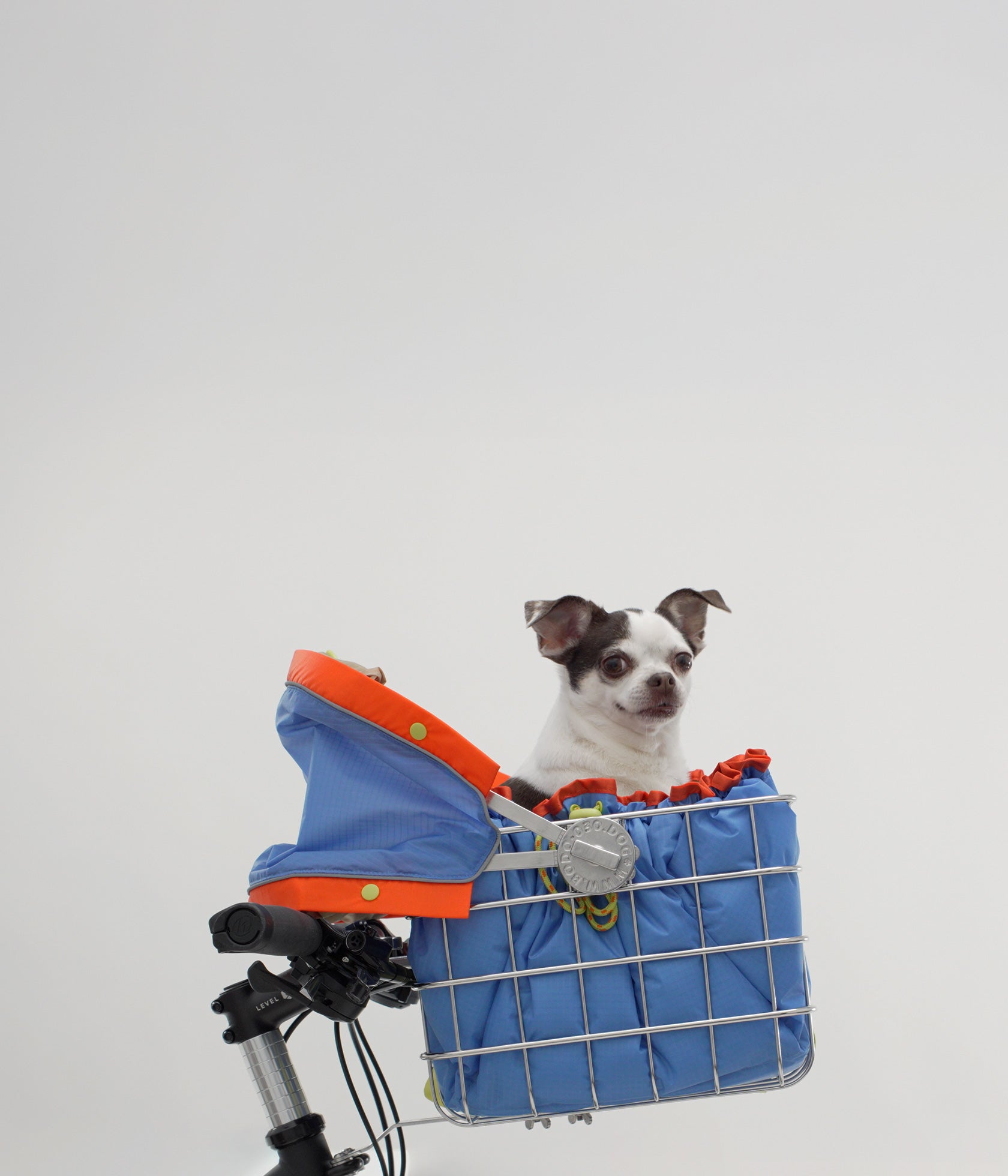 Hund im FlyingBodo Hundefahrradkorb mit verstellbarem Sonnendach