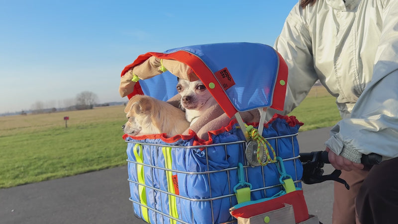 Zwei Hunde im FlyingBodo Hundefahrradkorb mit Sonnen- und Regenverdeck auf Fahrradtour