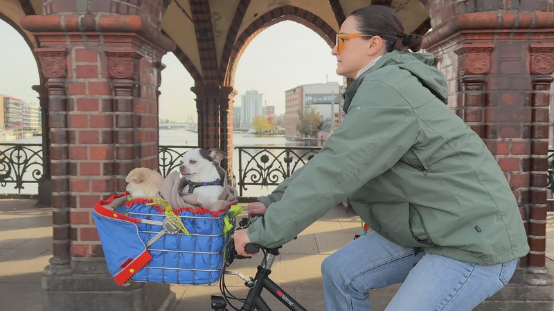 Hund fährt im FlyingBodo Hundefahrradkorb vorne am Fahrrad mit