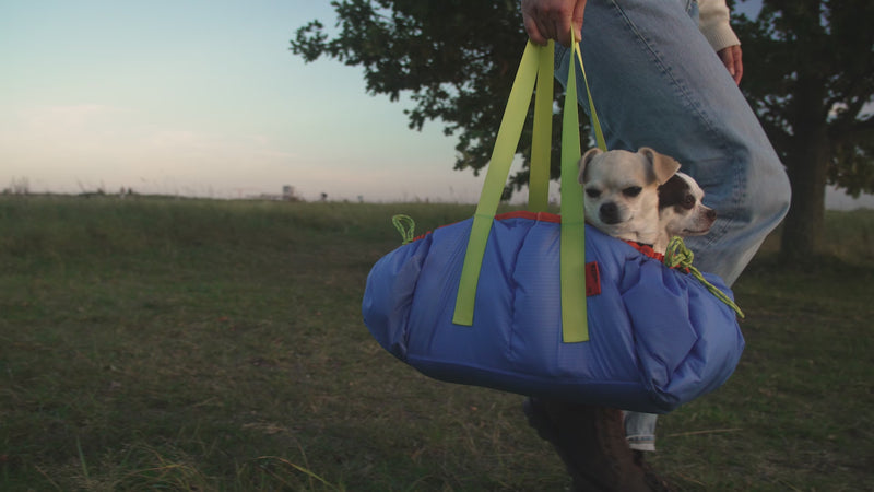 FlyingBodo gepolsterte Einlage als Tragetasche mit Hund – nutzbar als Tasche oder Decke für Fahrradtouren